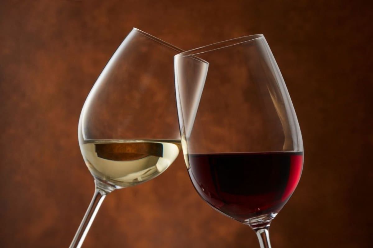 Tomar una copa de vino diaria no es tan beneficioso como se decía: los riesgos de salud son mayores y acumulativos, advierten científicos en nuevo estudio
