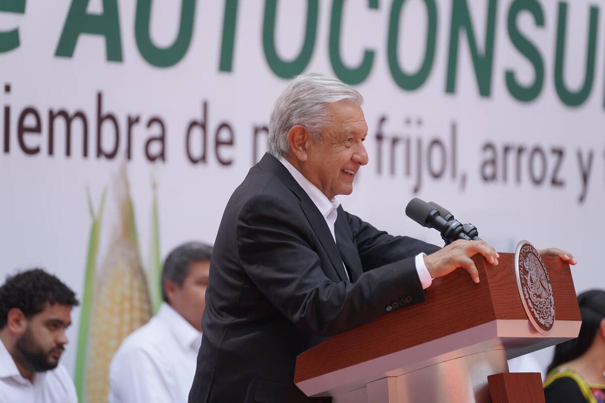 AMLO: "Zonas rurales de CDMX y Edomex recibirán fertilizantes gratuitos para promover autoconsumo"