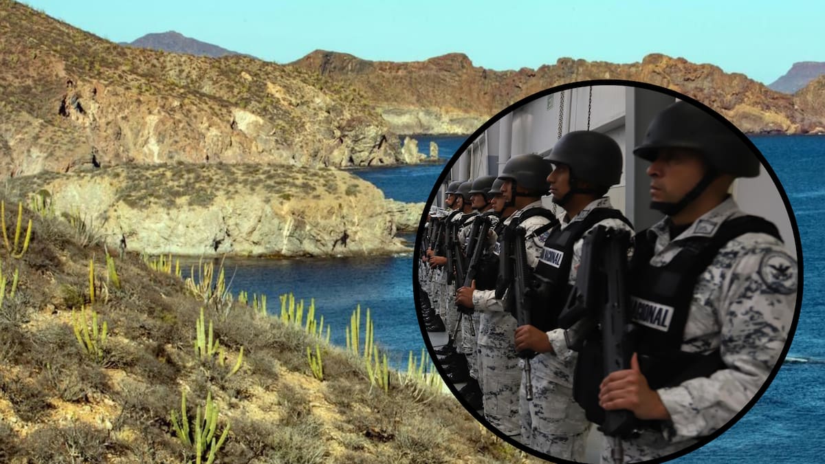 Decreto publicado en el DOF autoriza la participación de la Guardia Nacional en inspecciones ambientales, Semarnat podrá solicitar su apoyo en áreas naturales protegidas federales