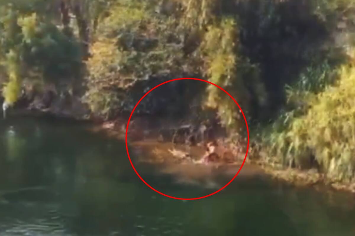 VIDEO: Familia muere ahogada en río de Chiapas durante descanso de Semana Santa