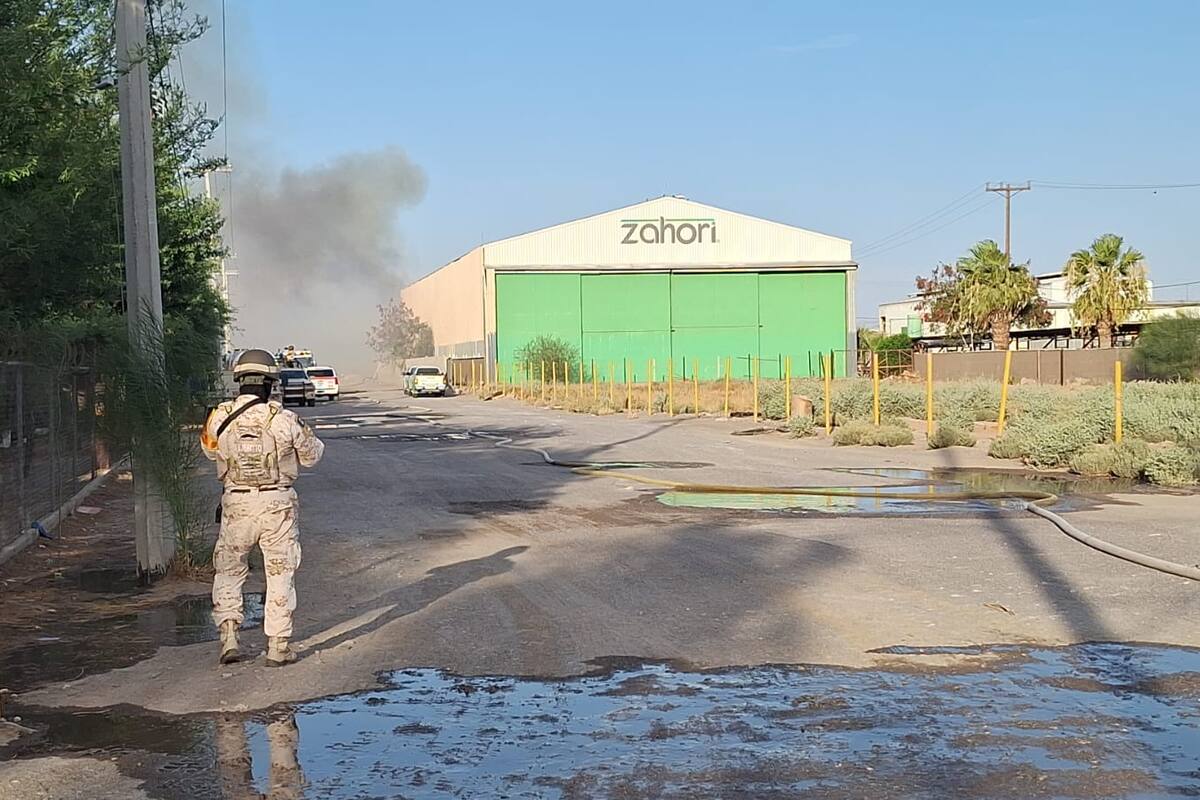 Reabre sus puertas empresa Zahori