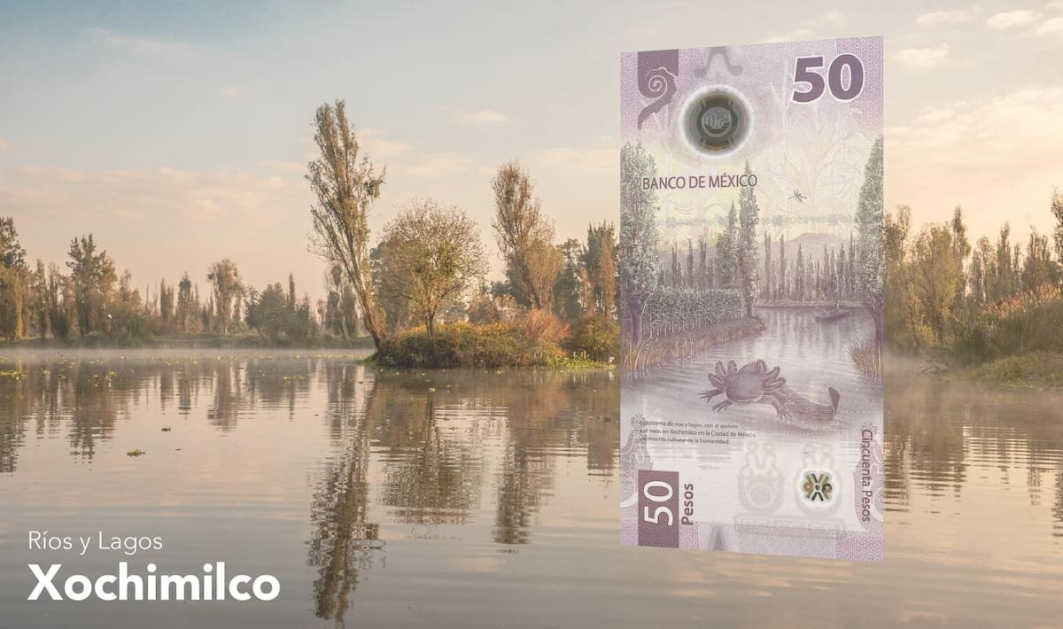 En el reverso, tiene el ecosistema de ríos y lagos con el ajolote y el maíz en Xochimilco I Foto: Facebook