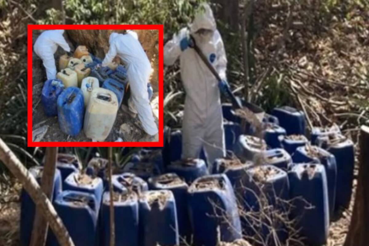 Autoridades desmantelan 8 laboratorios clandestinos en Culiacán y Cosalá