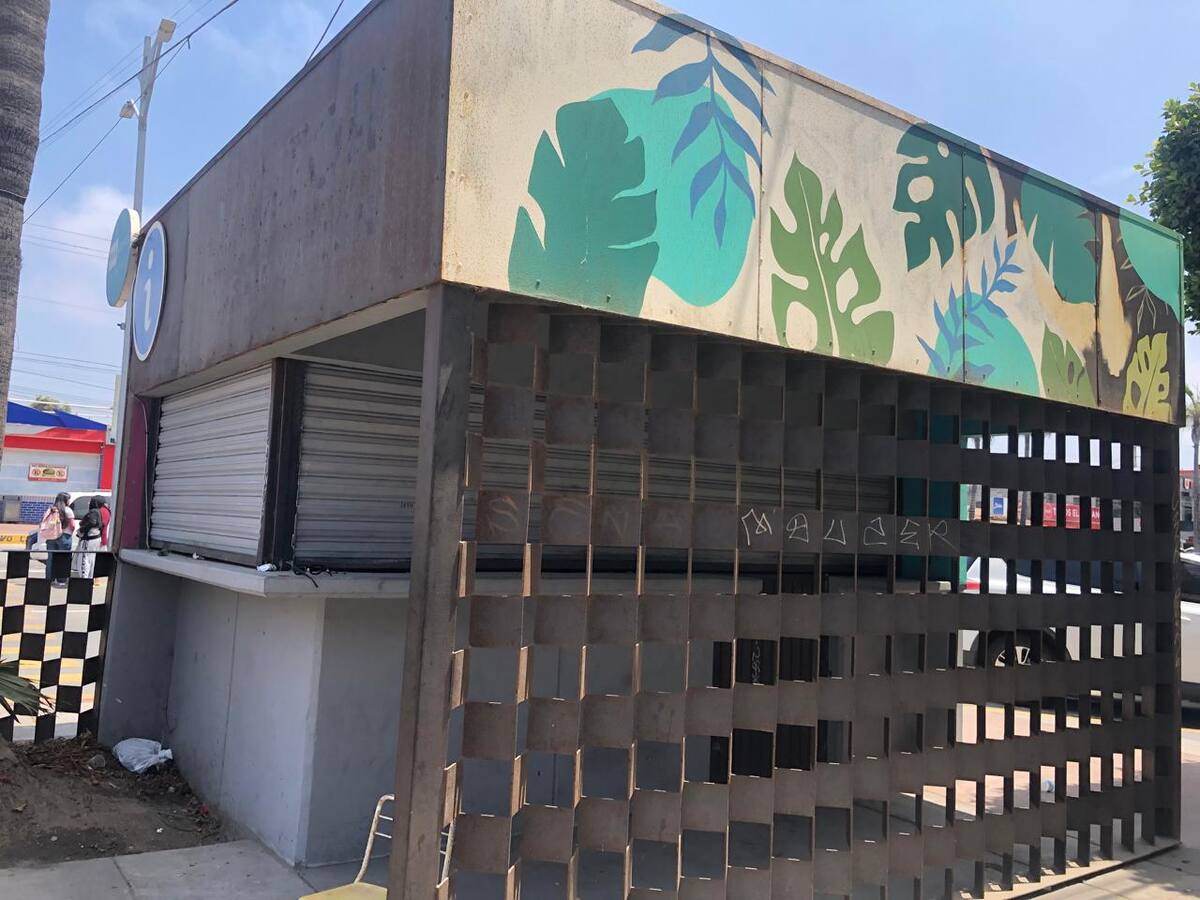 Foto: Carmen Gutiérrez