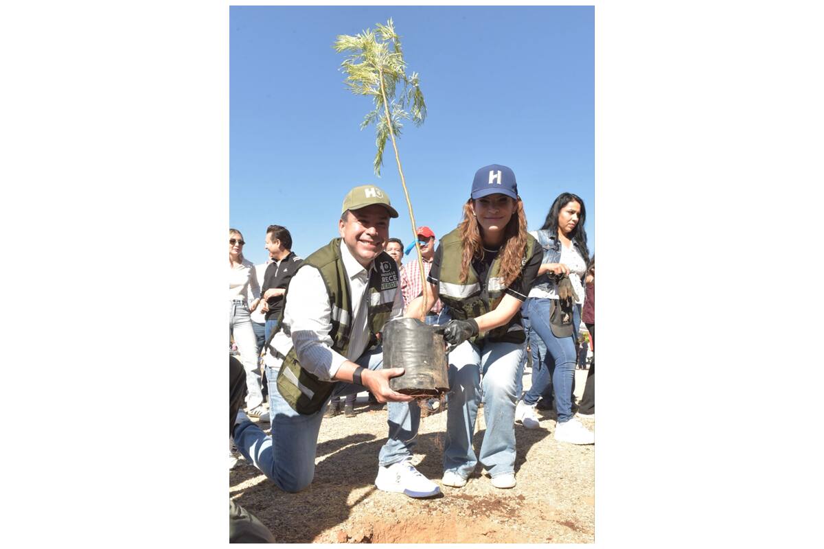 Resalta el alcalde Astiazarán distinción de FAO sobre práctica de arborización