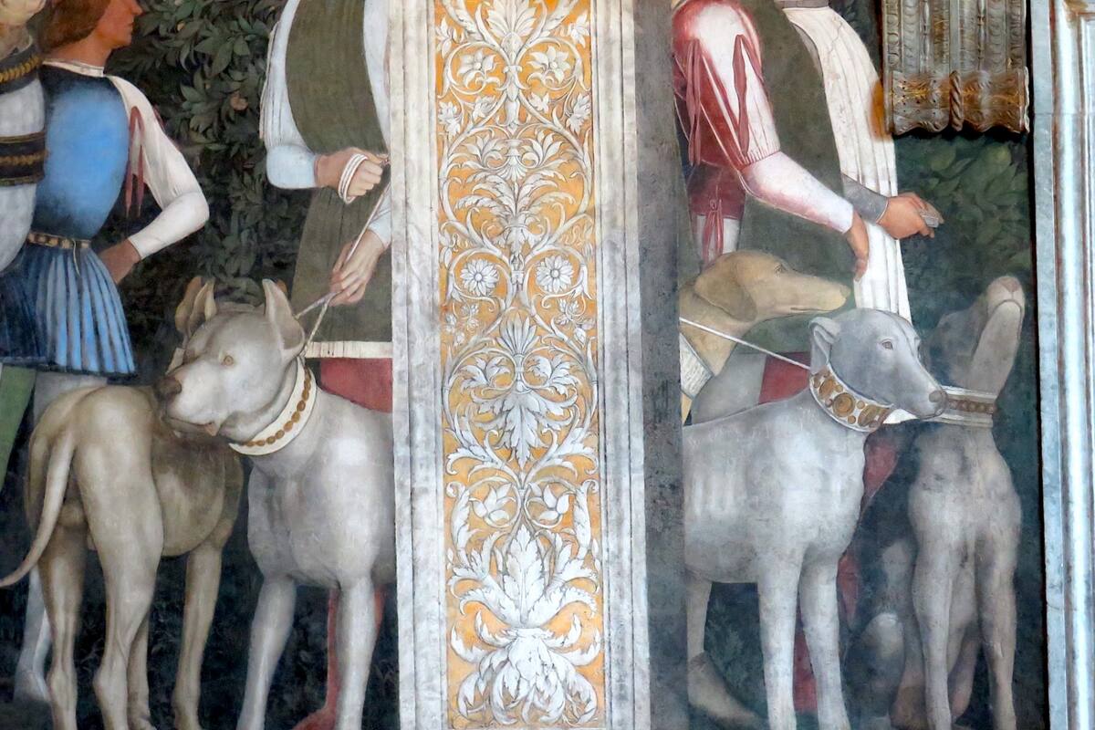 Los perros del Encuentro en la Cámara de los Esposos: Un homenaje a la fidelidad