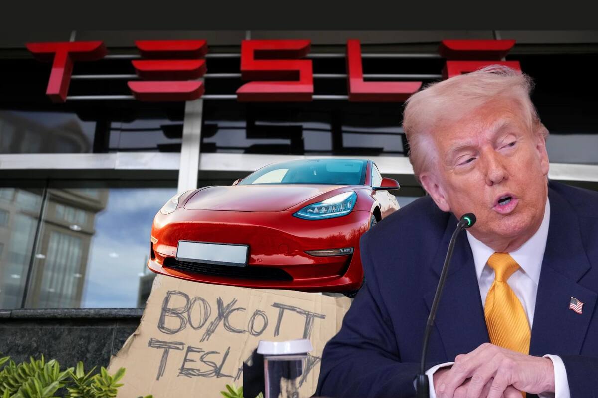 Donald Trump anuncia que comprará un nuevo Tesla en apoyo a Elon Musk tras ciberataque a X y caída de acciones