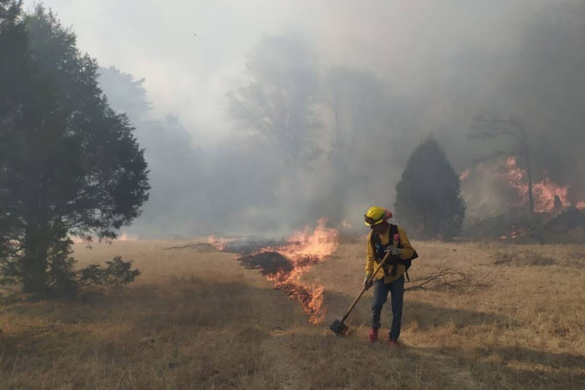 Intensifican combate a cuatro incendios forestales en Sonora