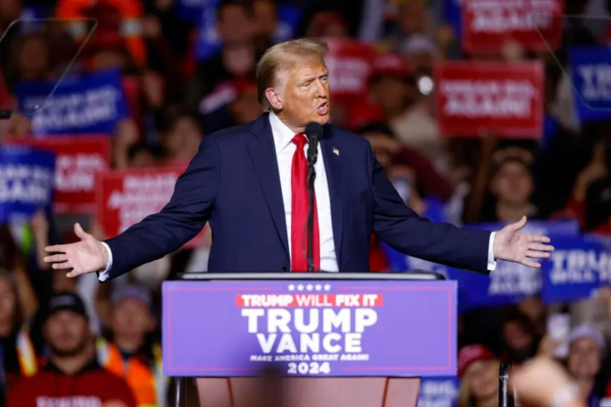 Candidato electo Donald Trump. / EFE
