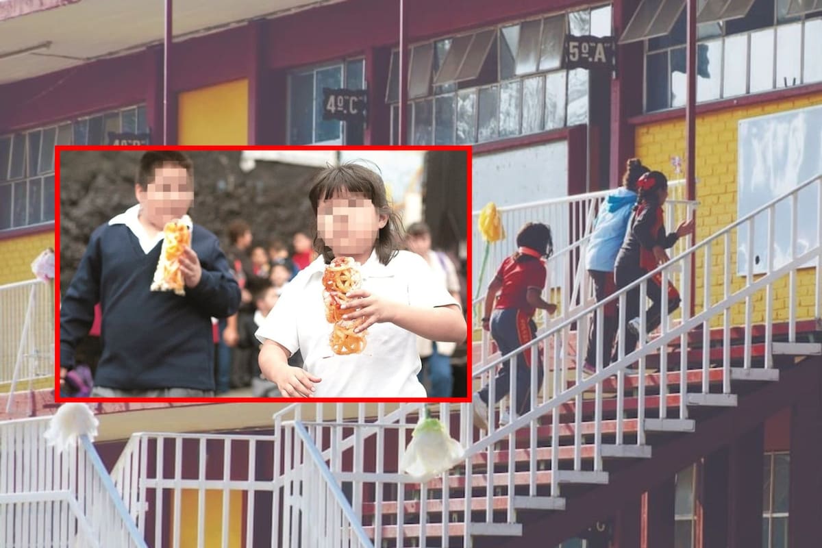 Cinco de cada diez niños tienen desnutrición u obesidad: SEP revela diagnóstico nacional y avanza con la estrategia Vive Saludable, Vive Feliz en primarias