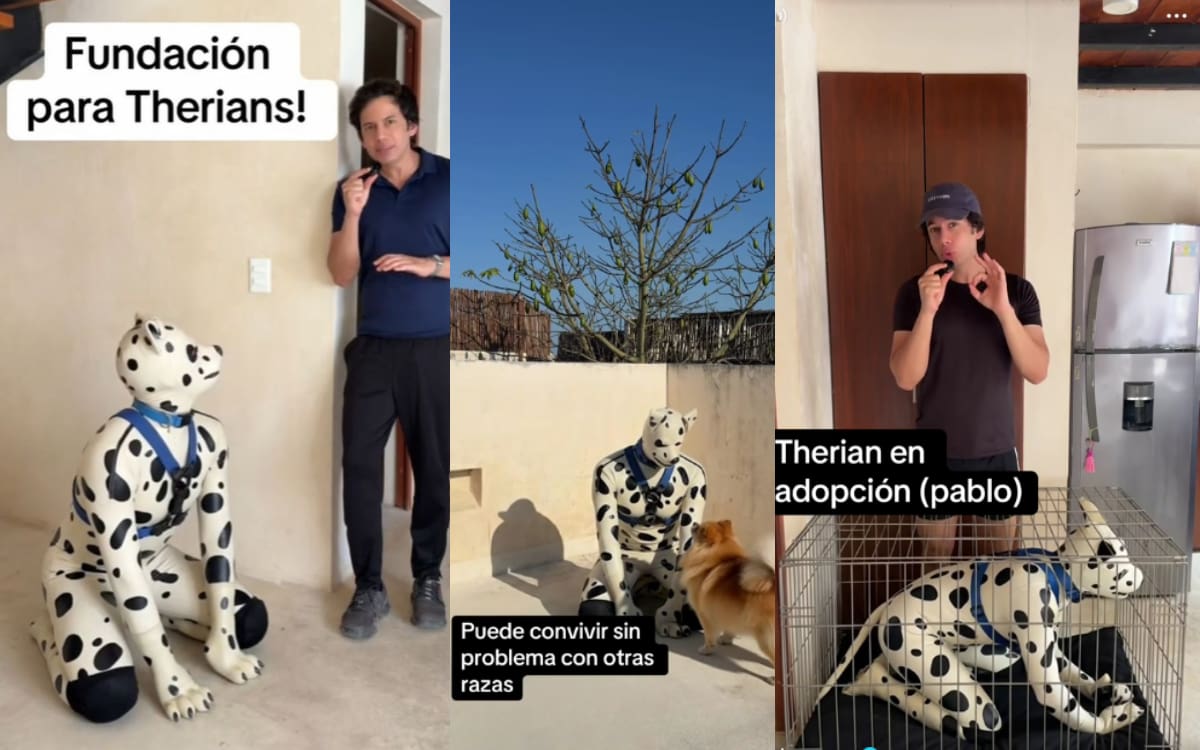 ¿Qué dijo Carlos Name sobre los therians? Anuncia fundación y responde a críticas