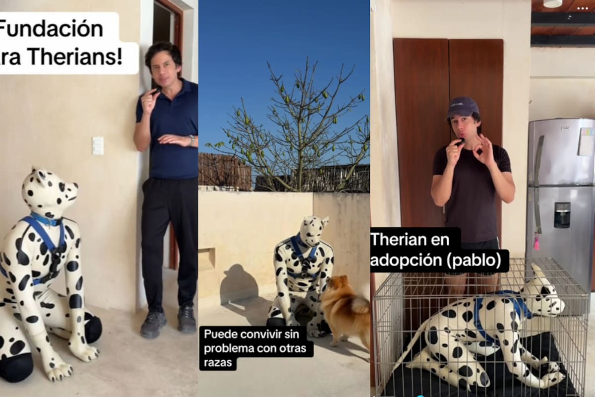 Therians mexicanos tendrán su propia fundación para defender sus derechos, promete influencer
