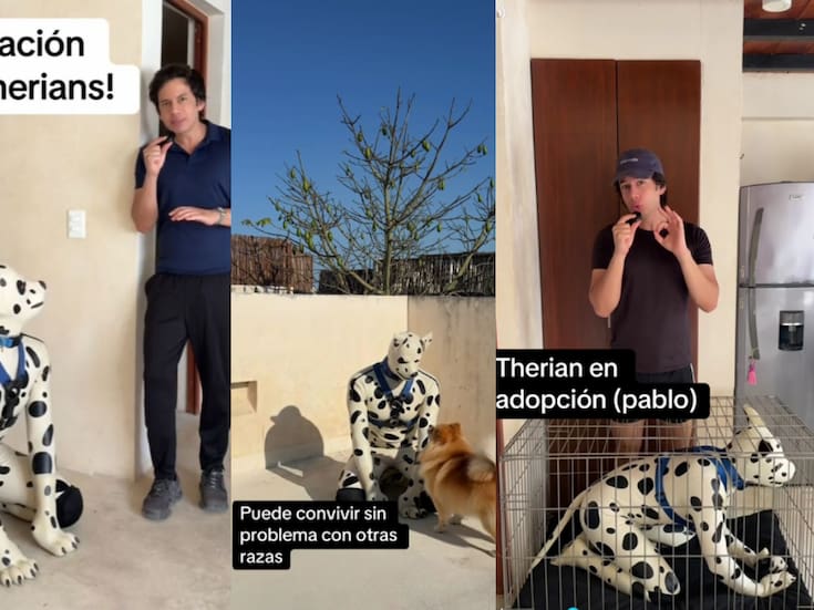 Therians mexicanos tendrán su propia fundación para defender sus derechos, promete influencer