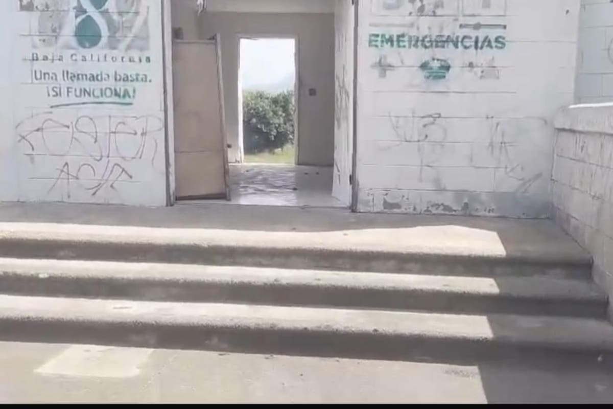 Perrera municipal de Rosarito se encuentra abandonada