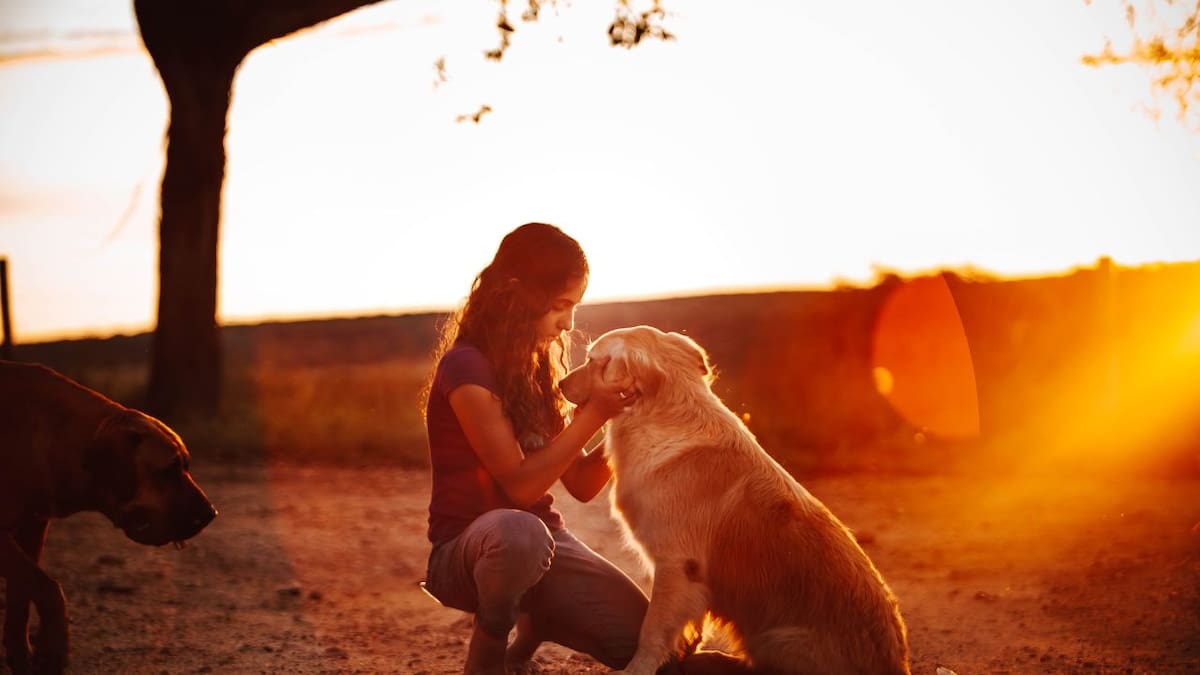 Colombia aprueba la “Ley Empatía”: La protección animal será parte obligatoria de la educación en todos los colegios
