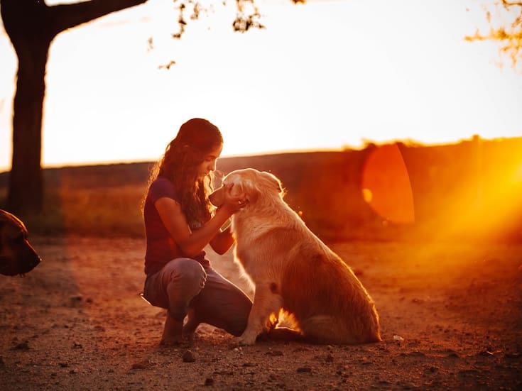Colombia aprueba la “Ley Empatía”: La protección animal será parte obligatoria de la educación en todos los colegios