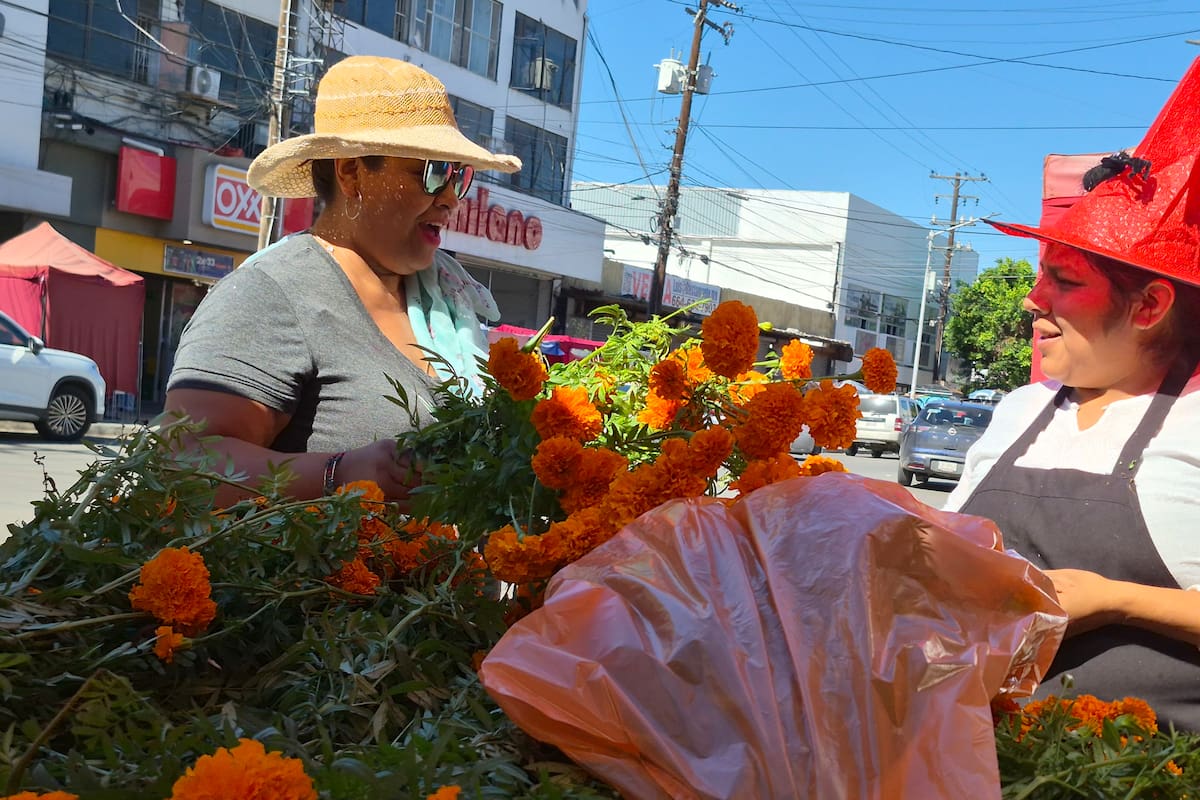 Mantiene demanda la flor de cempasúchil en Tijuana: ofrecen ramos desde 30 pesos previo al Día de Muertos