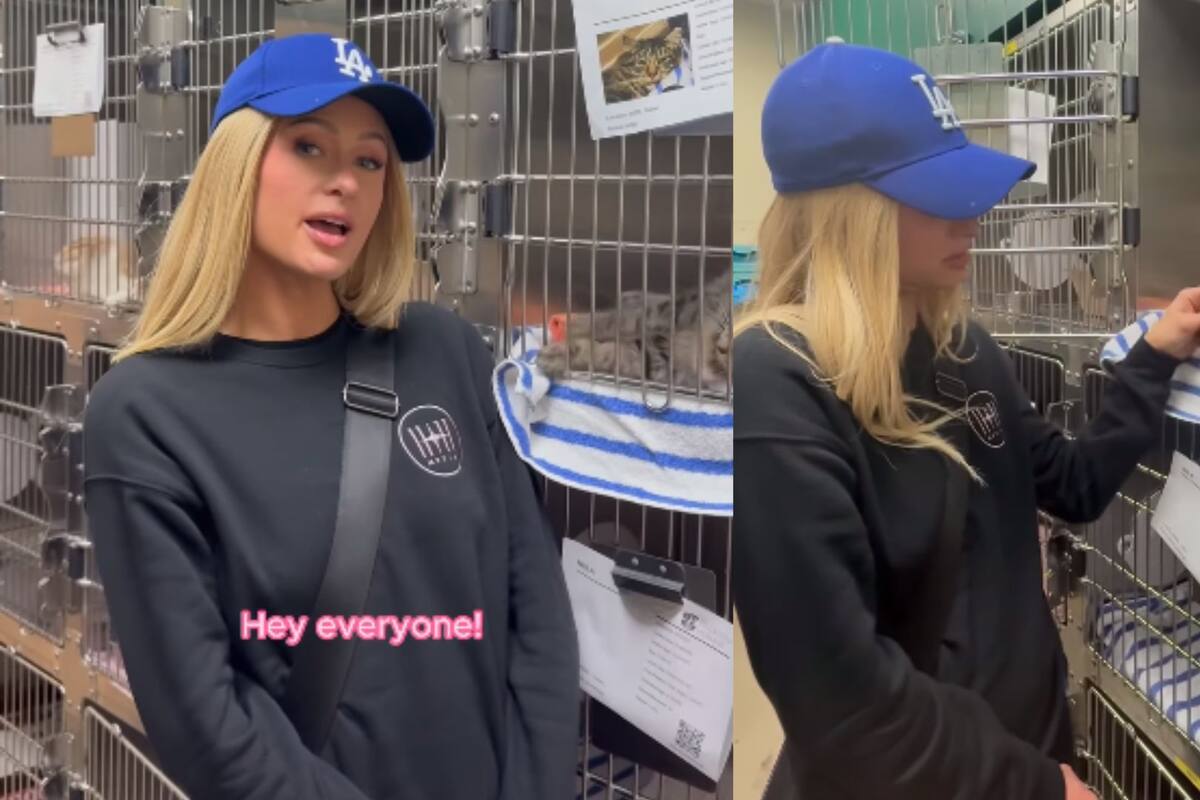 Paris Hilton colabora como voluntaria en refugio para animales afectados por incendios en LA