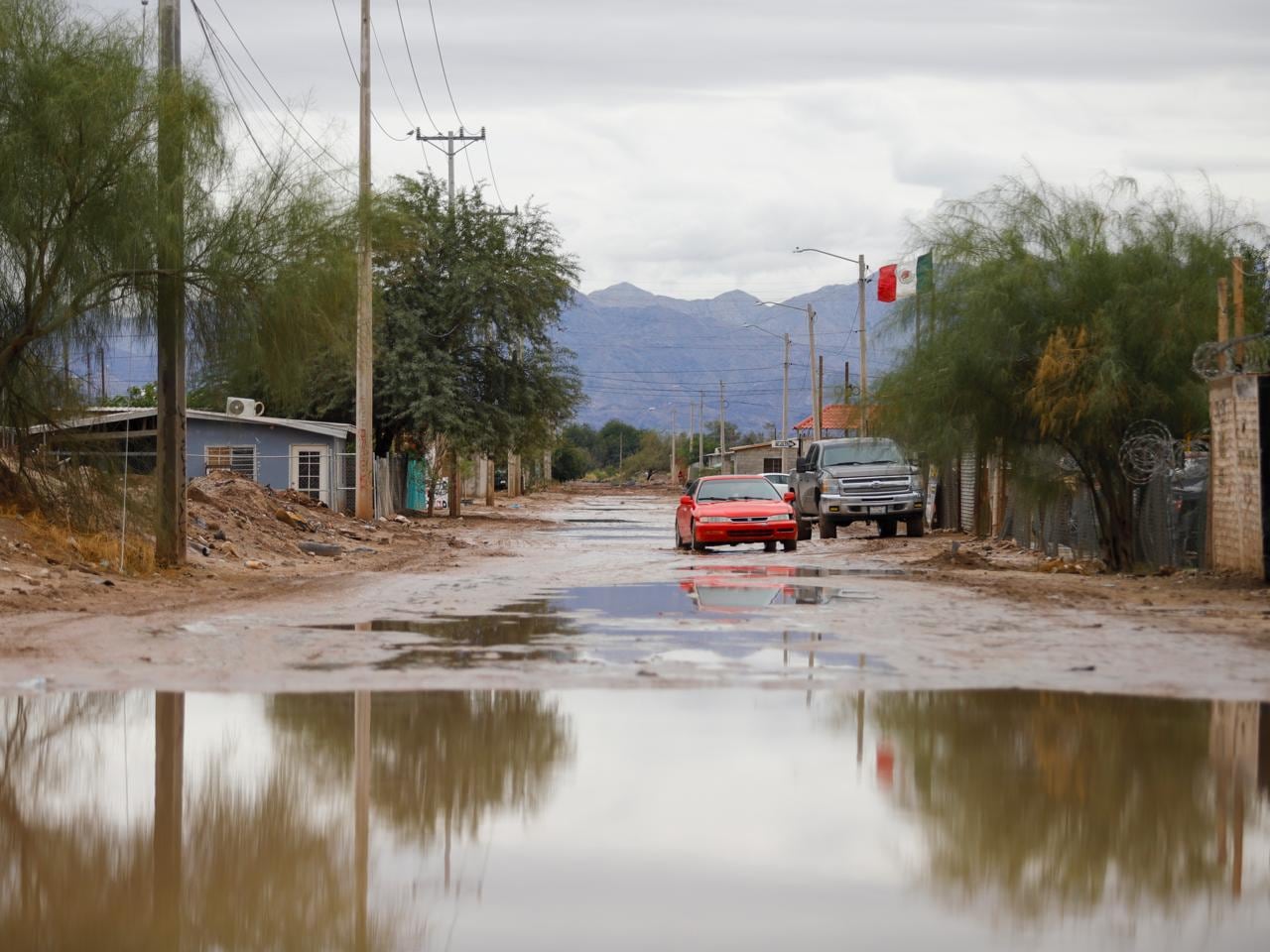 Foto: Juan J. Morales.