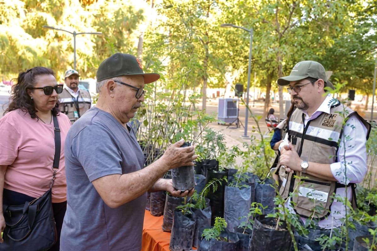 Gana Hermosillo por segundo año el Desafío de Ciudades de WWF