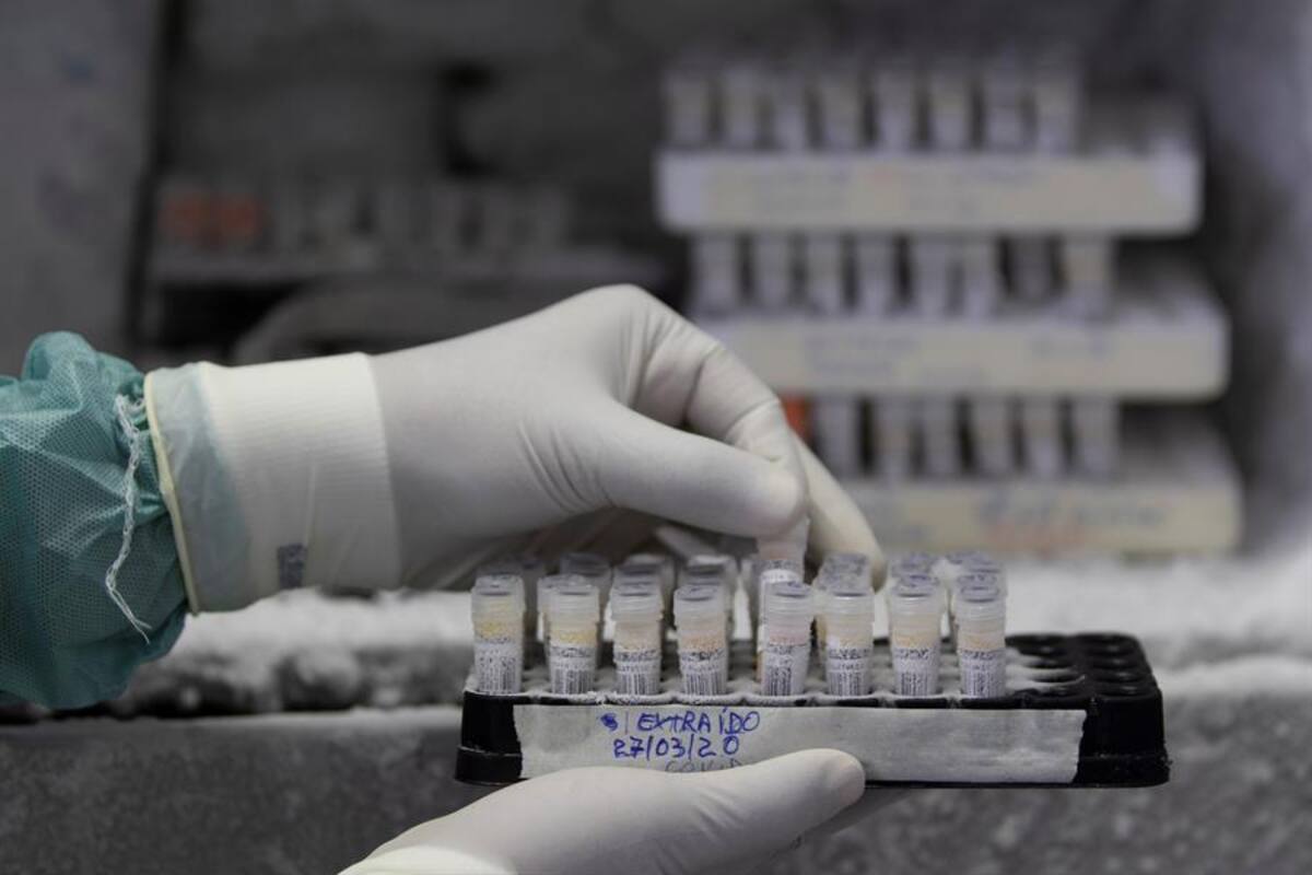 Inician pruebas preclínicas de dos vacunas contra coronavirus en Australia