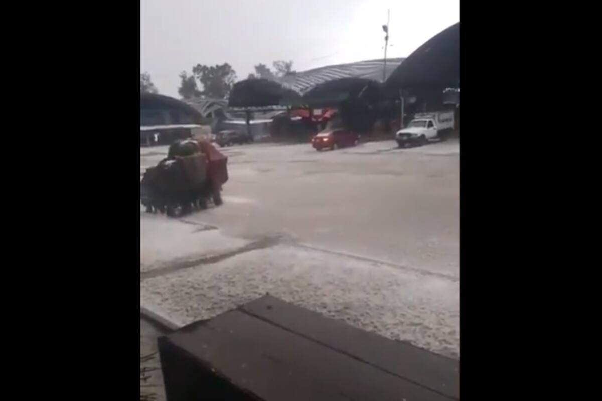 Captan el momento en el que colapsó el techo de la Central de Abastos en CDMX