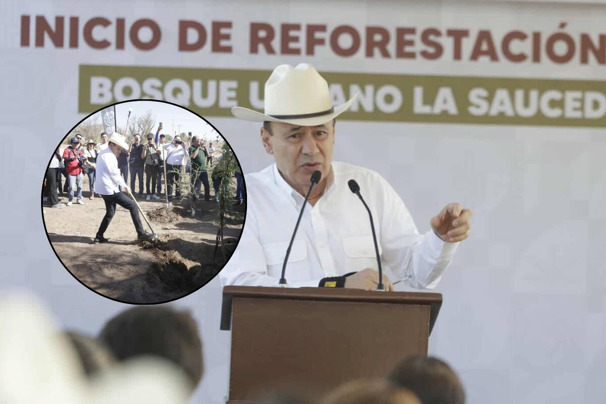 Plantarán más de 4 mil árboles nativos en el Bosque Urbano La Sauceda