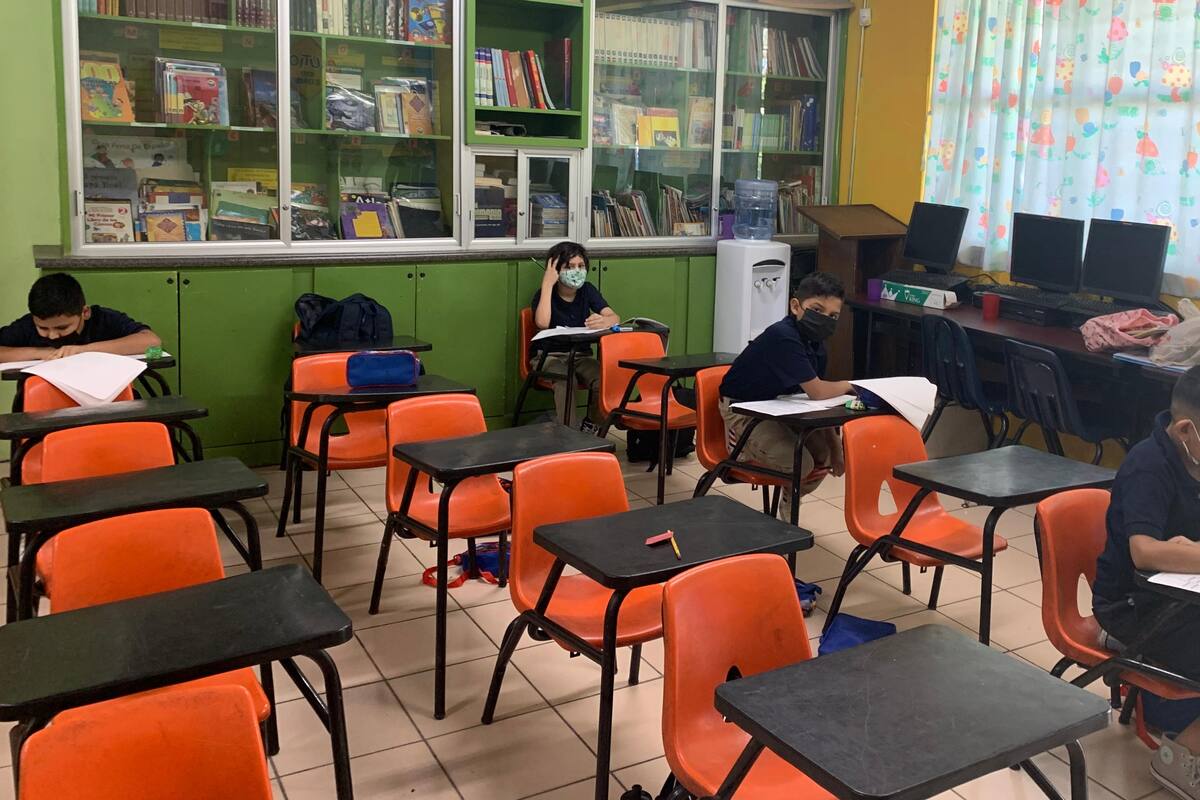 Sin funcionar el 60% de las refrigeraciones en la primaria Waldo Hdez.