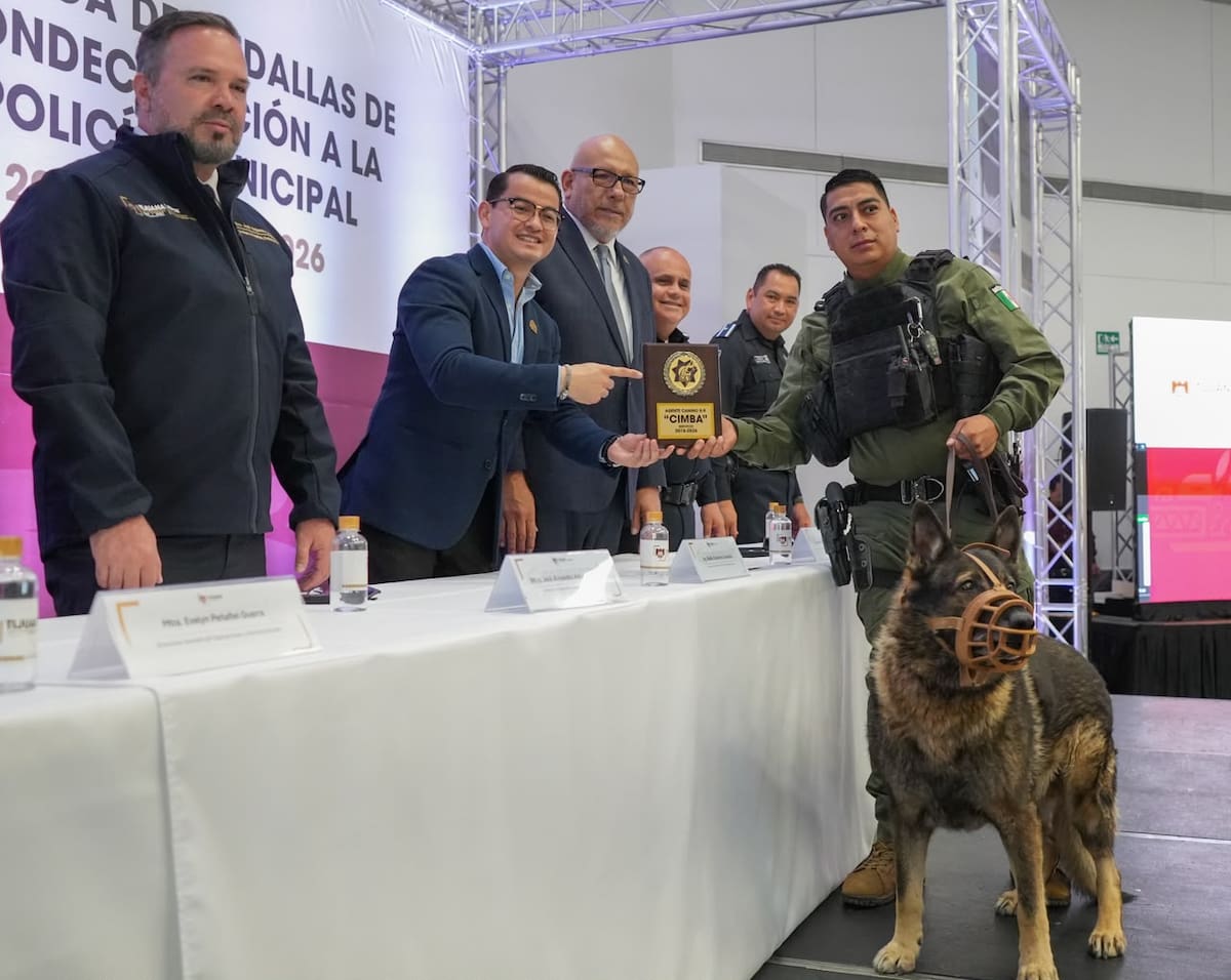 El Ayuntamiento de Tijuana entregó 239 condecoraciones a elementos de la Policía Municipal por su trayectoria, actos de valor y servicio; también se retiró al agente canino Cimba.
Fotos: Cortesía.