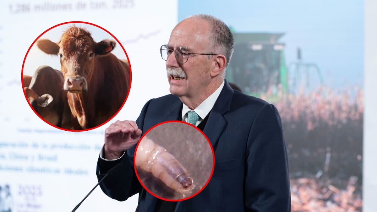 Julio Berdegué Sacristán, secretario de Agricultura y Desarrollo Rural.