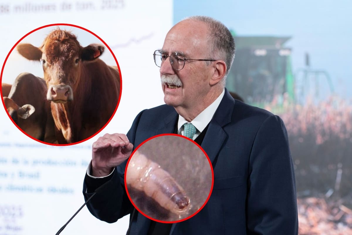 Sin fecha para la reapertura de la frontera de EEUU al ganado mexicano, confirma Julio Berdegué tras reunión con Brooke Rollins