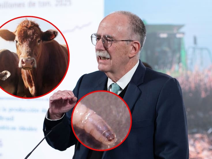 Sin fecha para la reapertura de la frontera de EEUU al ganado mexicano, confirma Julio Berdegué tras reunión con Brooke Rollins