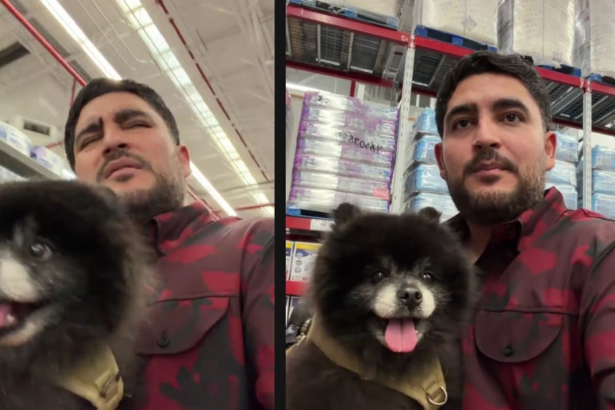“Viejo ridículo y cochino”: Critican a joven por hacer compras en Costco junto a su perro y su respuesta se vuelve viral
