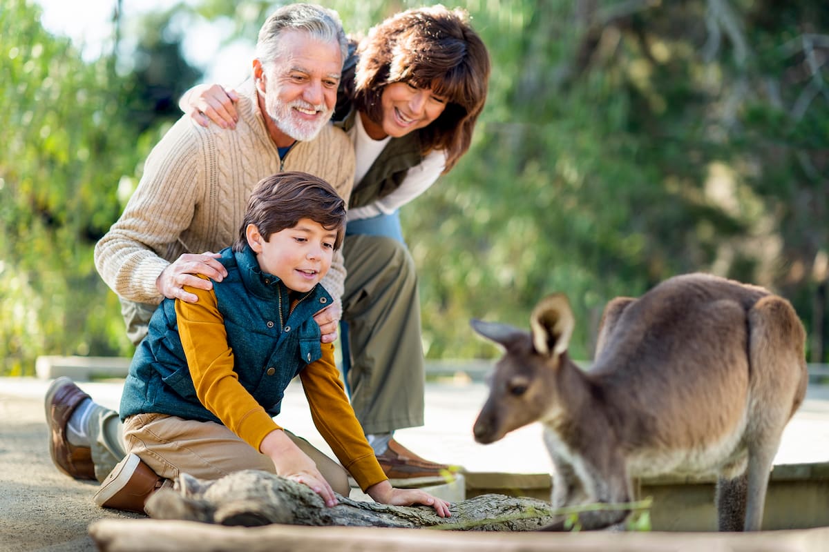 Adultos mayores entran gratis al Safari Park en San Diego