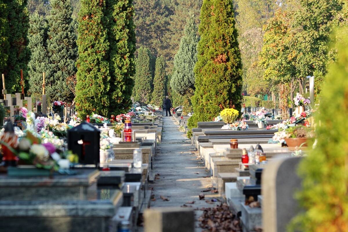 Atacan a viudo de 91 años mientras visitaba tumba de su esposa