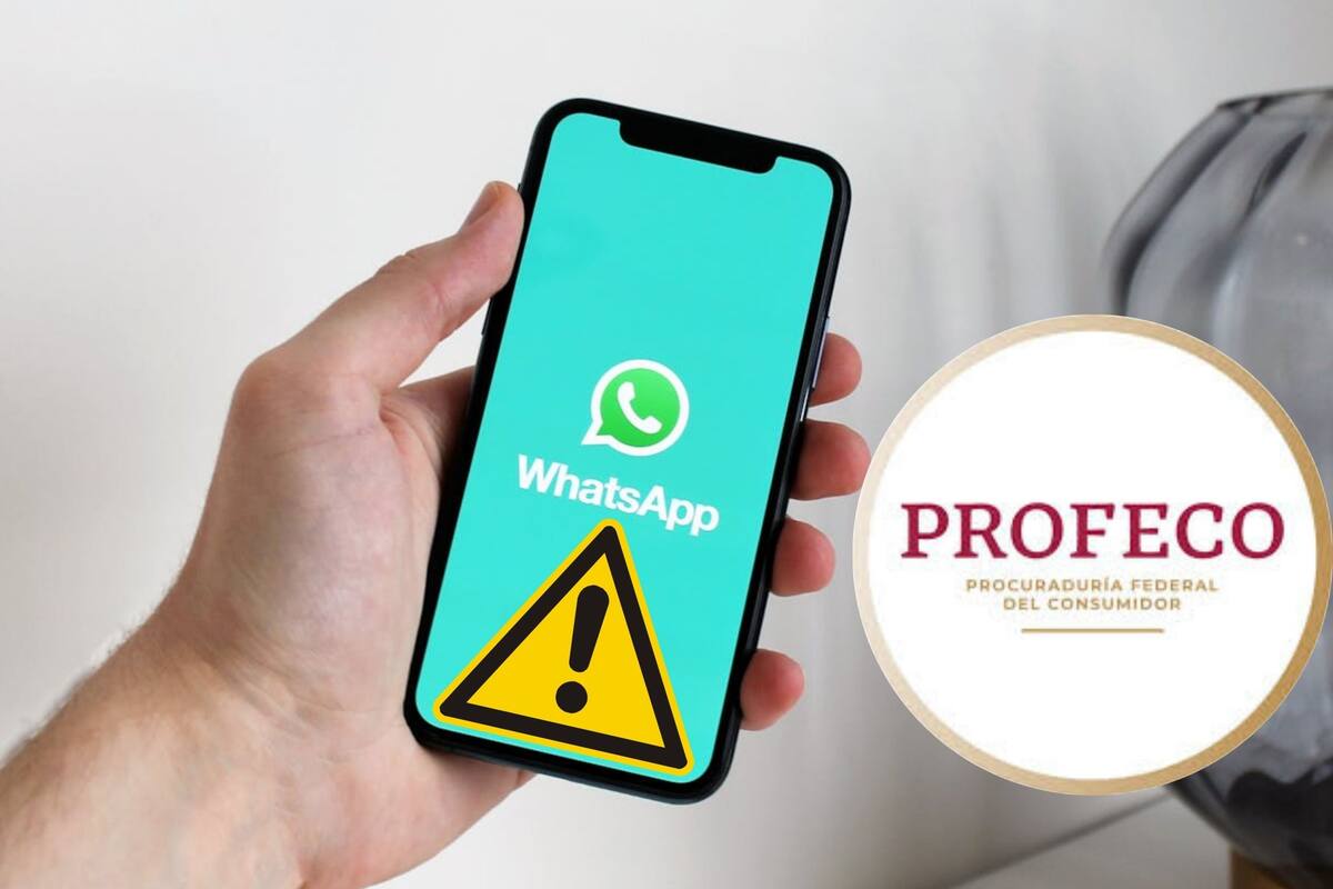 ¡Que no te pase! Profeco da recomendaciones de seguridad para evitar fraudes a través de WhatsApp