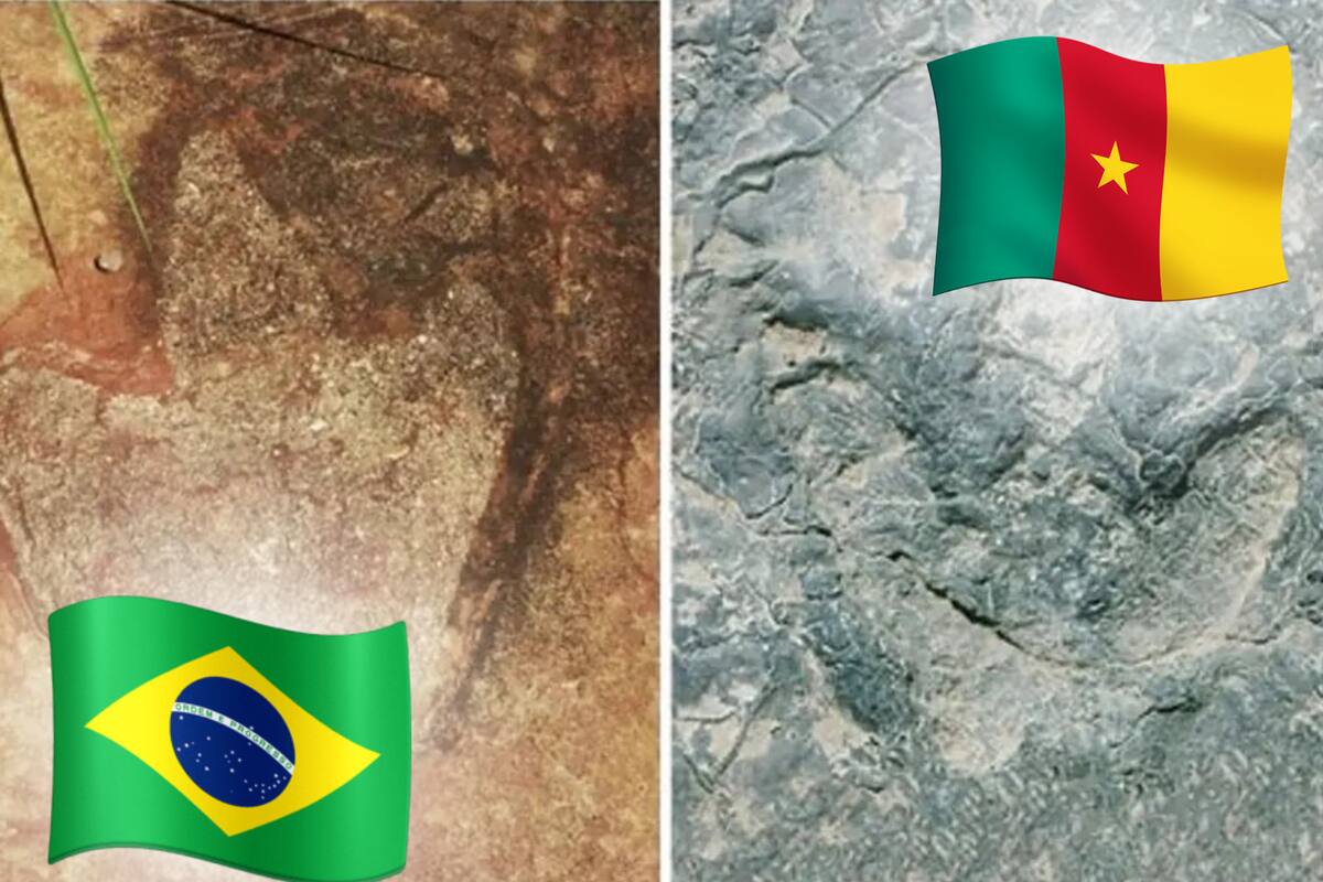 Los mismos dinosaurios caminaron por Brasil y África cuando ambos formaban un solo continente, según estudios