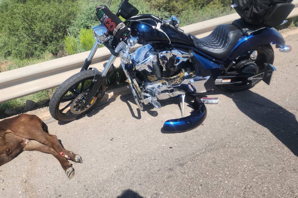 Ganaderos en Nogales piden controlar vandalismo que afecta cercos y provoca accidentes carreteros