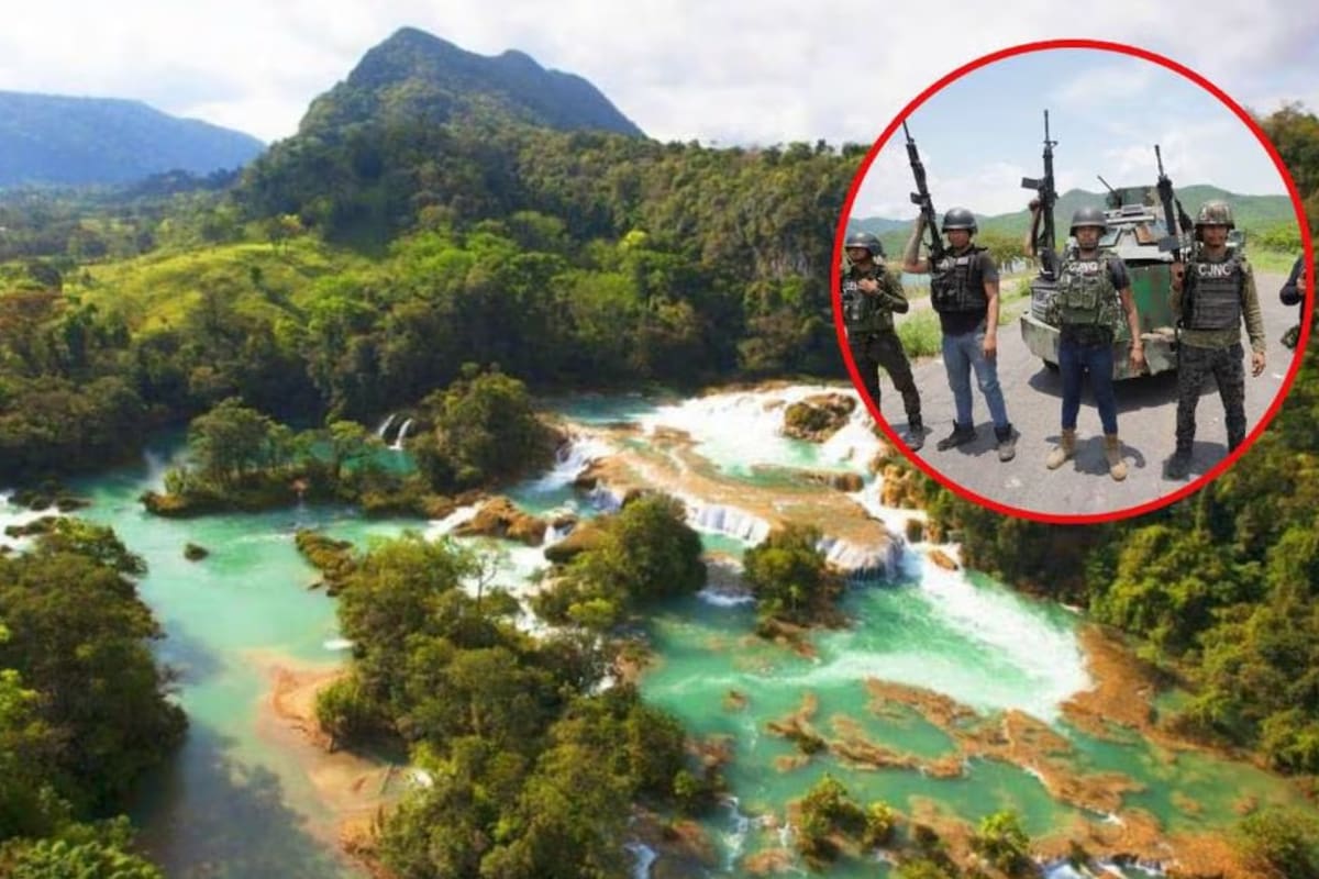 Empresas turísticas suspenden visitas a Selva Lacandona, Chiapas, por violencia del Cártel de Sinaloa y CJNG