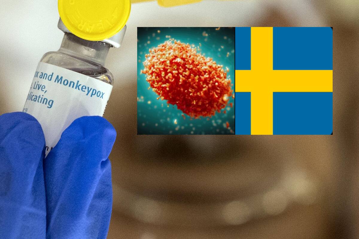 Detectan primer caso de mpox clade 1, ¿Qué es esta variante de la viruela del mono reportada en Europa?