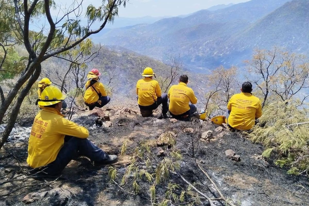 Bomberos de Cajeme apoyan en combate a incendio forestal en la sierra