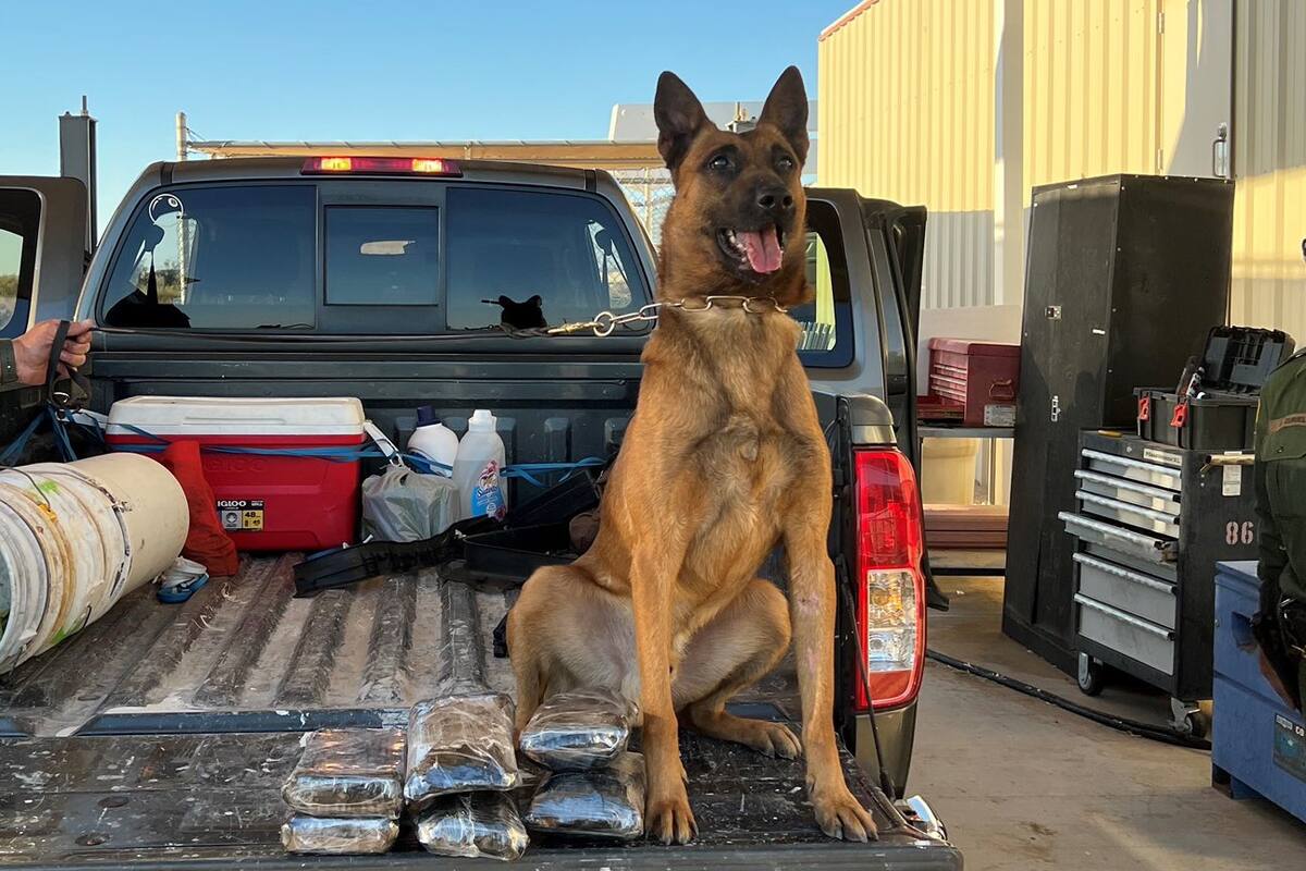Interceptan cargamento de fentanilo y heroína en Imperial