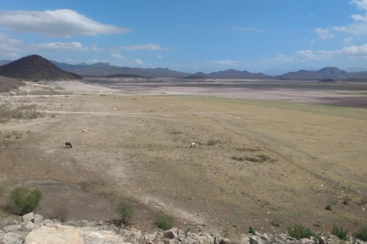 “Pega” la sequía a vecinos de la presa del Mocúzari