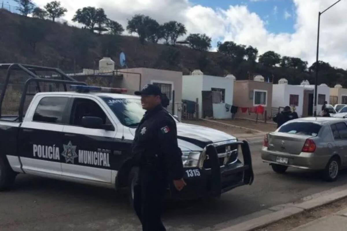 Policía que mató a pitbull demostraría defensa propia con video