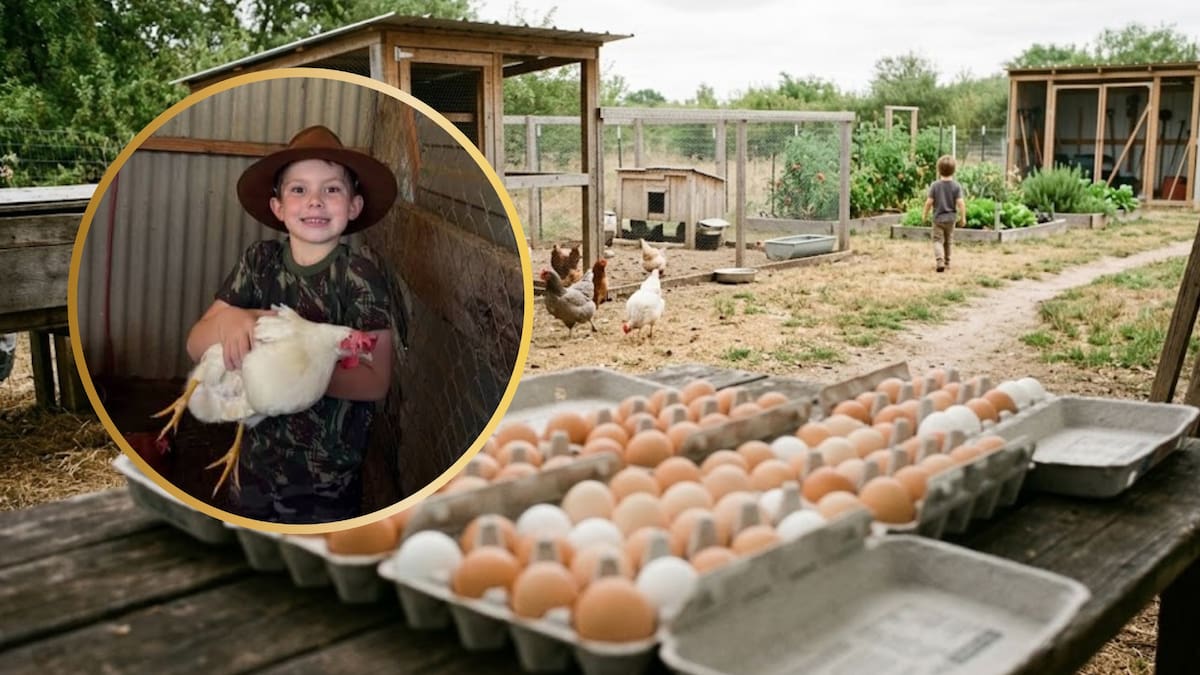 Un niño de siete años garantizó el pago de su colegiatura tras crear un sistema comunitario de venta de huevos en el patio de su abuela