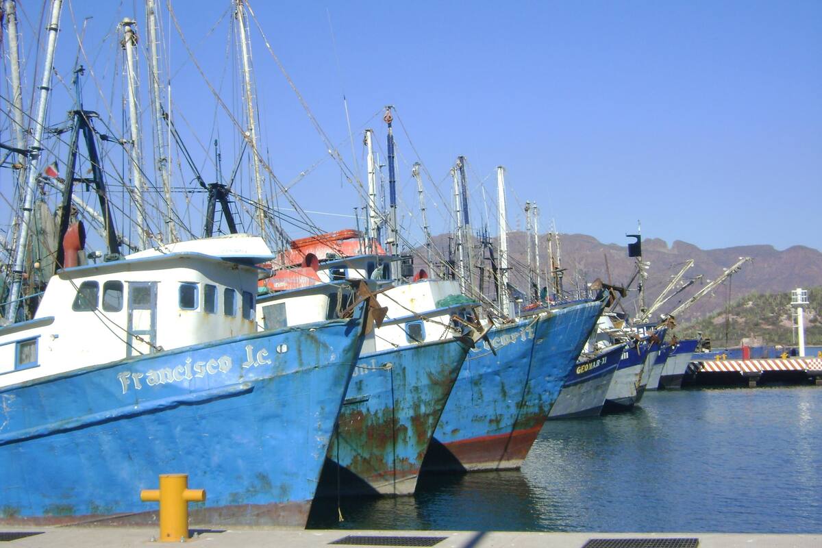 "Narda" obliga a barcos a regresar a los puertos