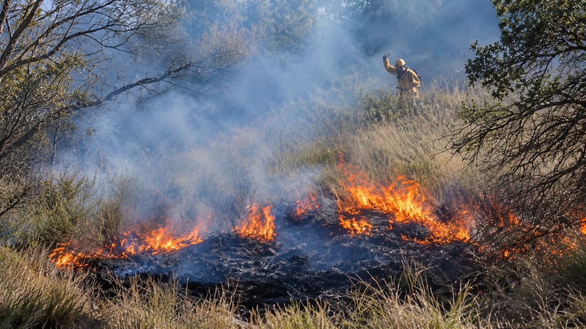 Incendio en la Sierra La Madera de Ímuris es controlado al 100%; dejó 100 hectáreas afectadas