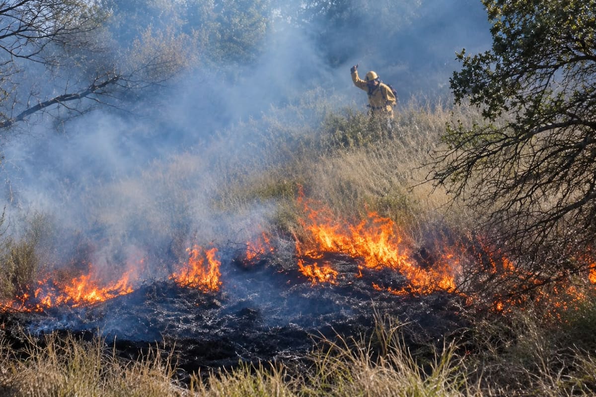 Incendio en la Sierra La Madera de Ímuris es controlado al 100%; dejó 100 hectáreas afectadas