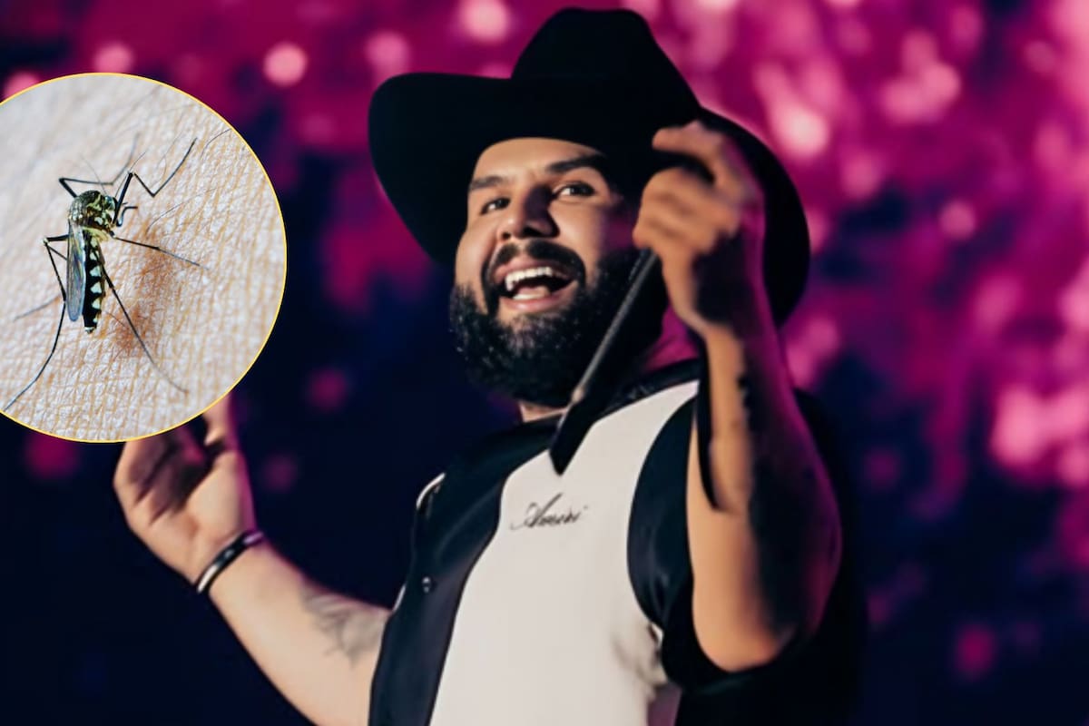 Qué tan grave puede ser el dengue y cómo se trata la enfermedad diagnosticada a Carín León