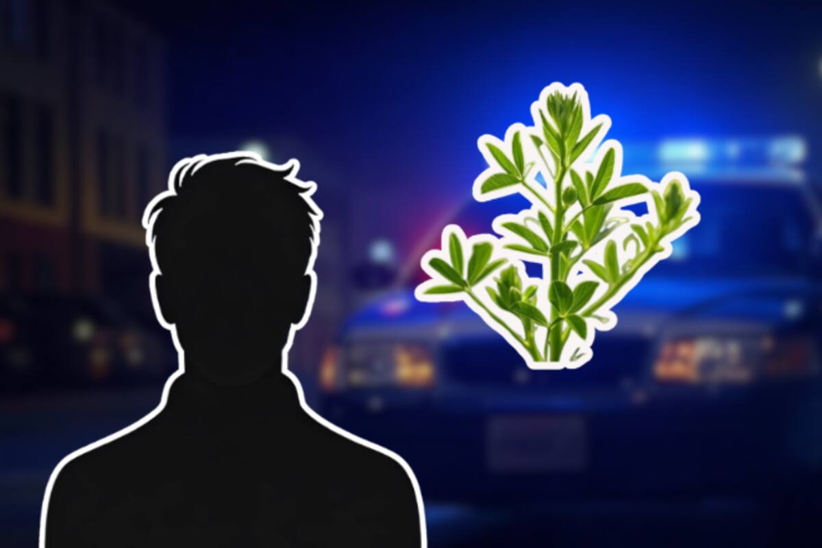 Capturan a “El Alfalfa”, uno de los criminales más buscados en el Edomex
